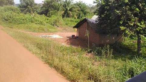 Road towards Mbata · Lobaye · Central African Republic