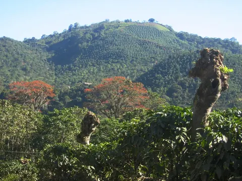 Coffee-growing hills in Orosi