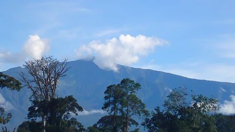 Pico Basilé · Bioko · Equatorial Guinea · landscape context