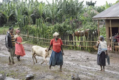 Village life · Kafa (Kaffa), Ethiopia · 2013
