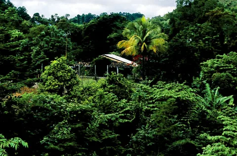 Camotán Valley hillside · Chiquimula · Nuevo Oriente · Guatemala
