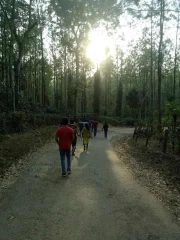 Shaded path through the plantation landscape · Chikmagalur, India