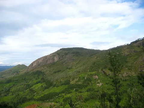A green valley in the Nilgiris near Ooty