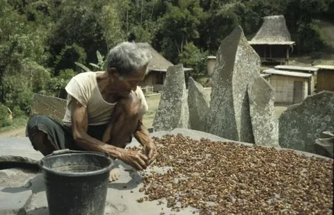 Peeling coffee beside Bena’s megaliths — archival photograph, 1989