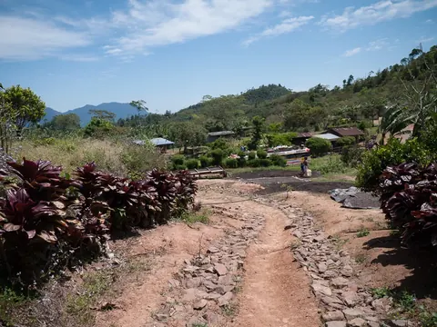 Coffee-growing countryside in Jinotega Department