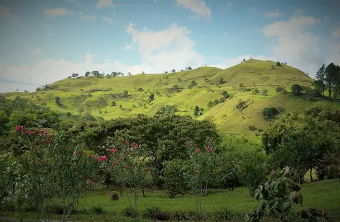 Landscape viewed from Finca Lérida coffee plantation