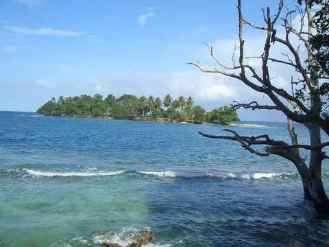 Palm-fringed coast at Madang
