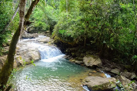Forest stream and waterfall in Chanchamayo, Junín