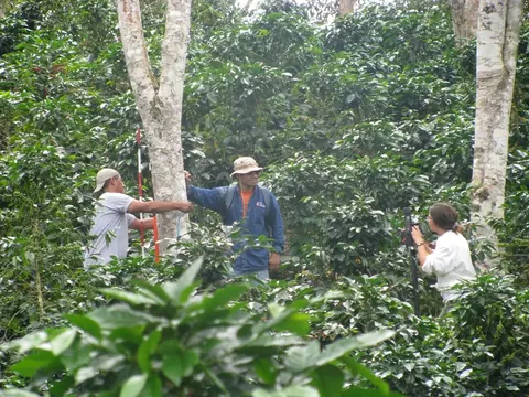 Carbon monitoring in a coffee plantation in Peru
