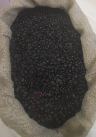 Roasted coffee beans in a sack — Philippines