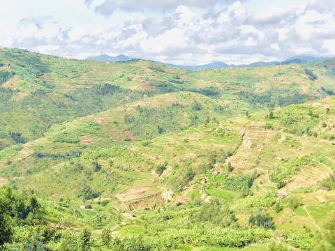 Cultivated hills · Ngororero · Rwanda