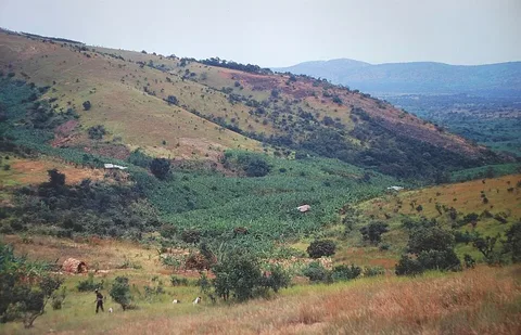 Banana-growing landscape near Bugene · Kagera · Tanzania · 1999
