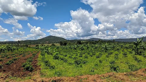 Agricultural landscape near Mbozi · Songwe · Tanzania