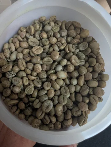 Green coffee at Kpalimé · Togo · 2025